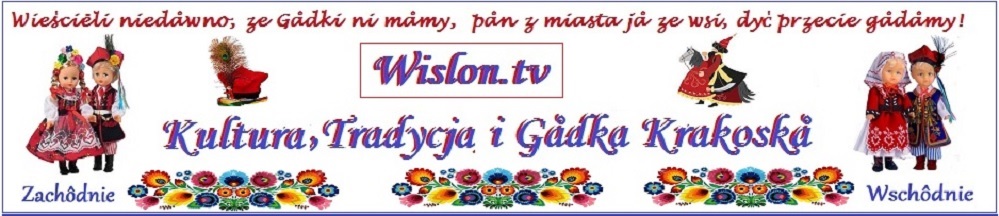 Logo Portalu Wislon.tv