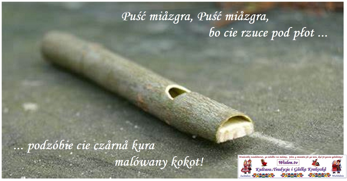 Puść miozgra, puść miozgra,